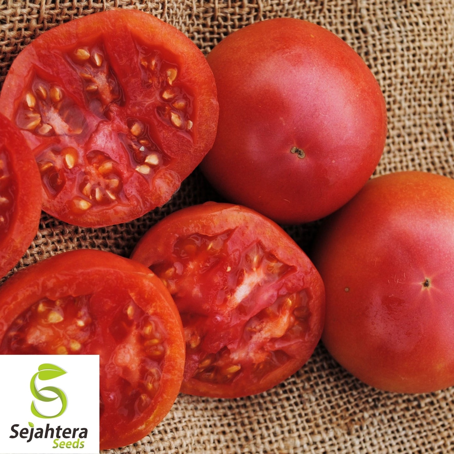 Eva Purple Ball Tomato Seeds 50 Ct | Heirloom Indeterminate NON-GMO USA