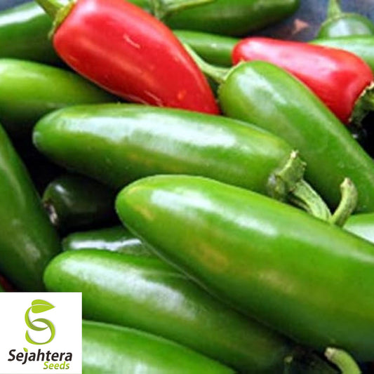 25 Early Jalapeno Pepper Seeds - Non-GMO, Mild & Early-Maturing Variety