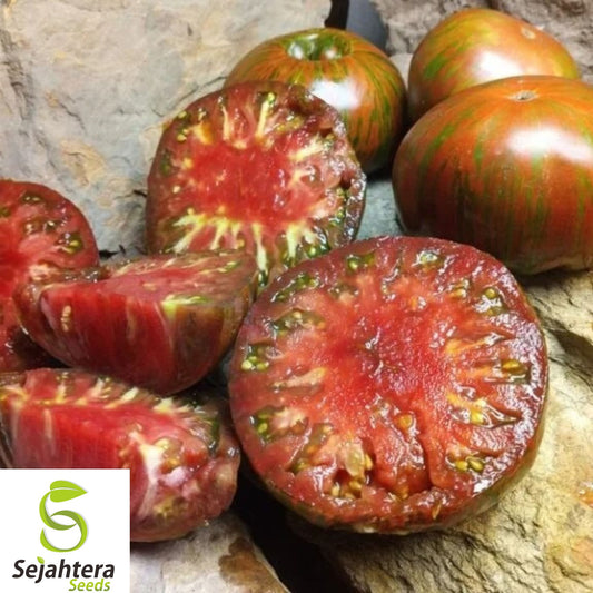 120+ Chocolate Stripe Tomato Seeds - Heirloom, Organic, Non-GMO, Rare & Sweet