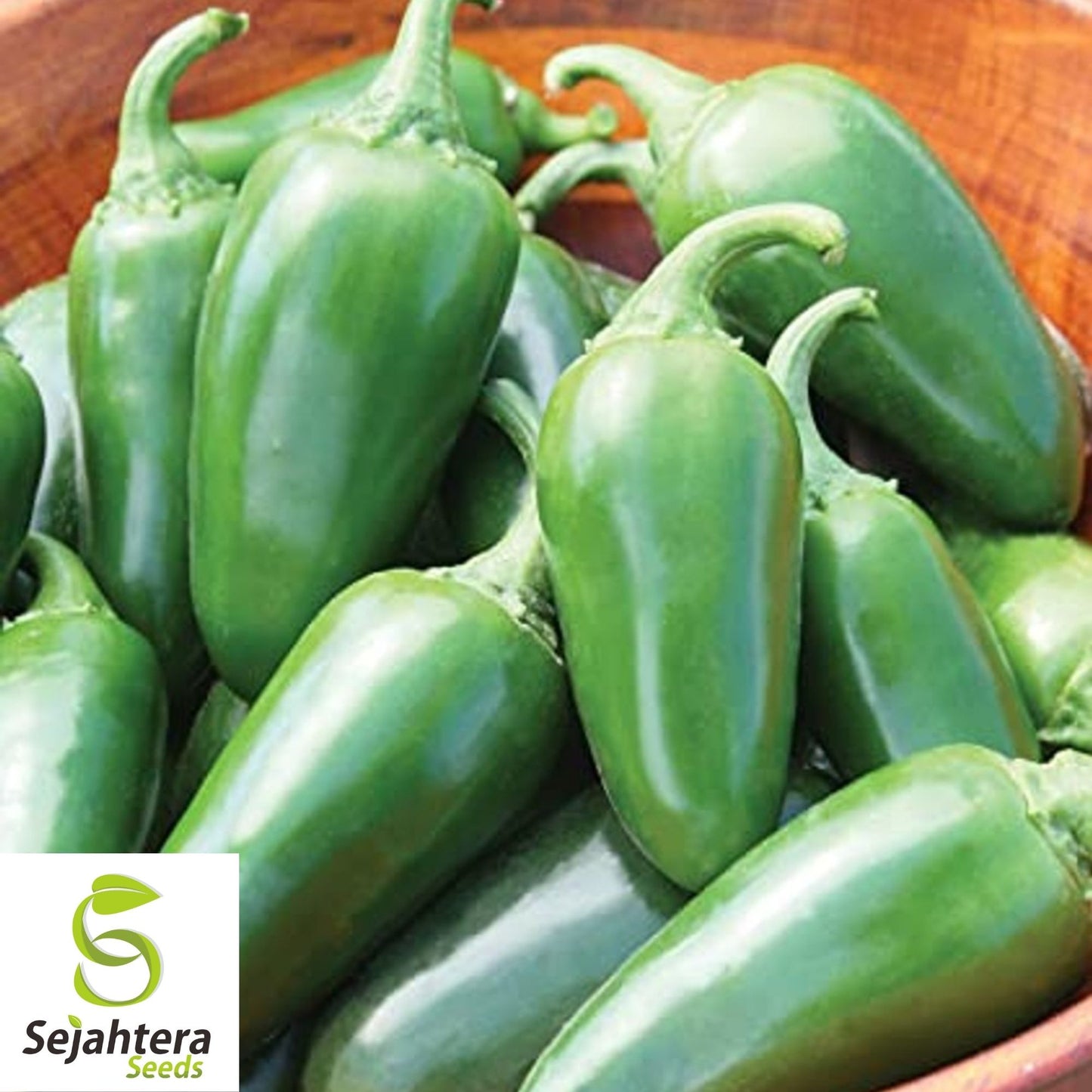 Jalapeño Early Hot Pepper Seeds 100+ | Heirloom Vegetable NON-GMO USA
