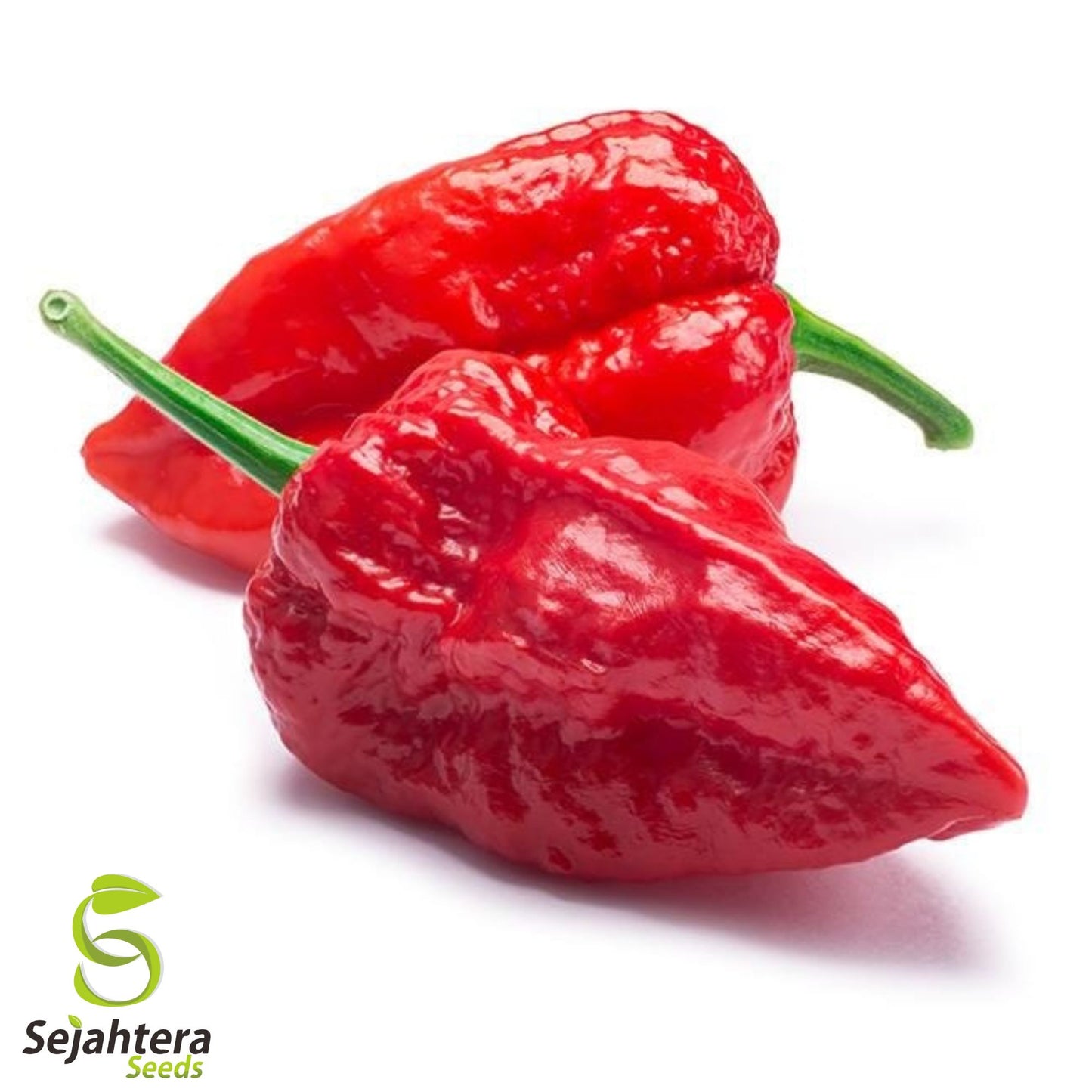 20 Ghost Pepper Bhut Jolokia Seeds - Non-GMO, Fiery & Spicy Peppers