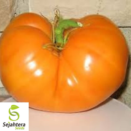 Amana Orange Tomato Seeds - 120+ Heirloom, Organic, Non-GMO & Rare