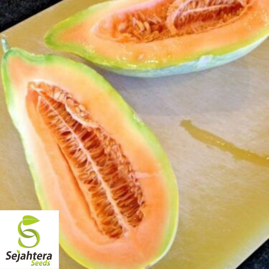 Banana Melon Cantaloupe Seeds 50+ | Heirloom Muskmelon Fruit NON-GMO USA