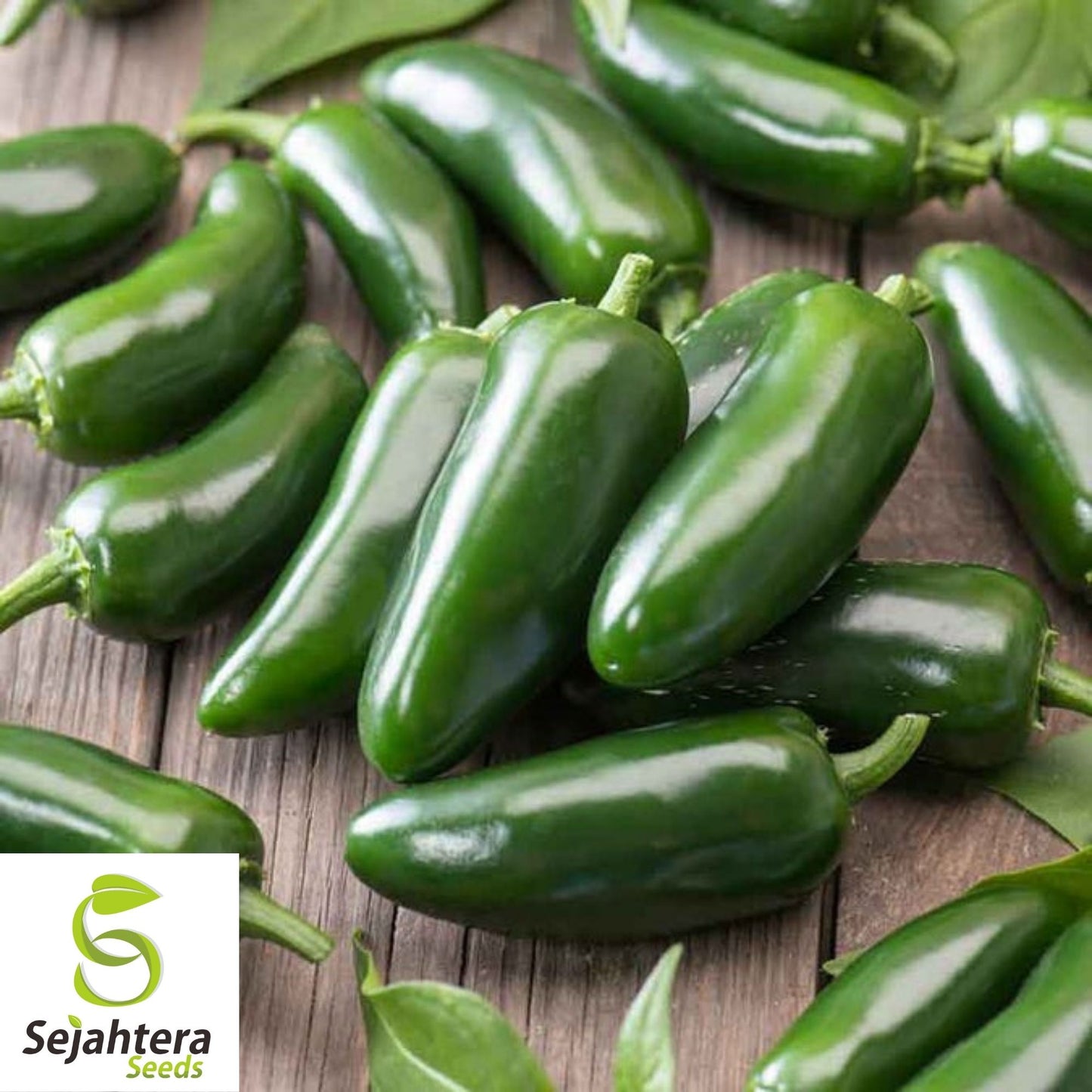 Jalapeño Early Hot Pepper Seeds 100+ | Heirloom Vegetable NON-GMO USA