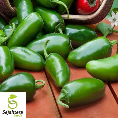Jalapeño Early Hot Pepper Seeds 100+ | Heirloom Vegetable NON-GMO USA