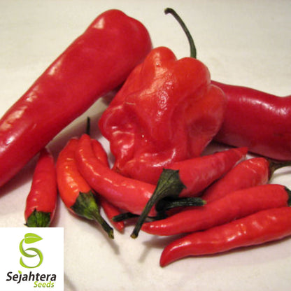 20 Birdseye Pepper Seeds - Non-GMO, Fiery & Compact Variety