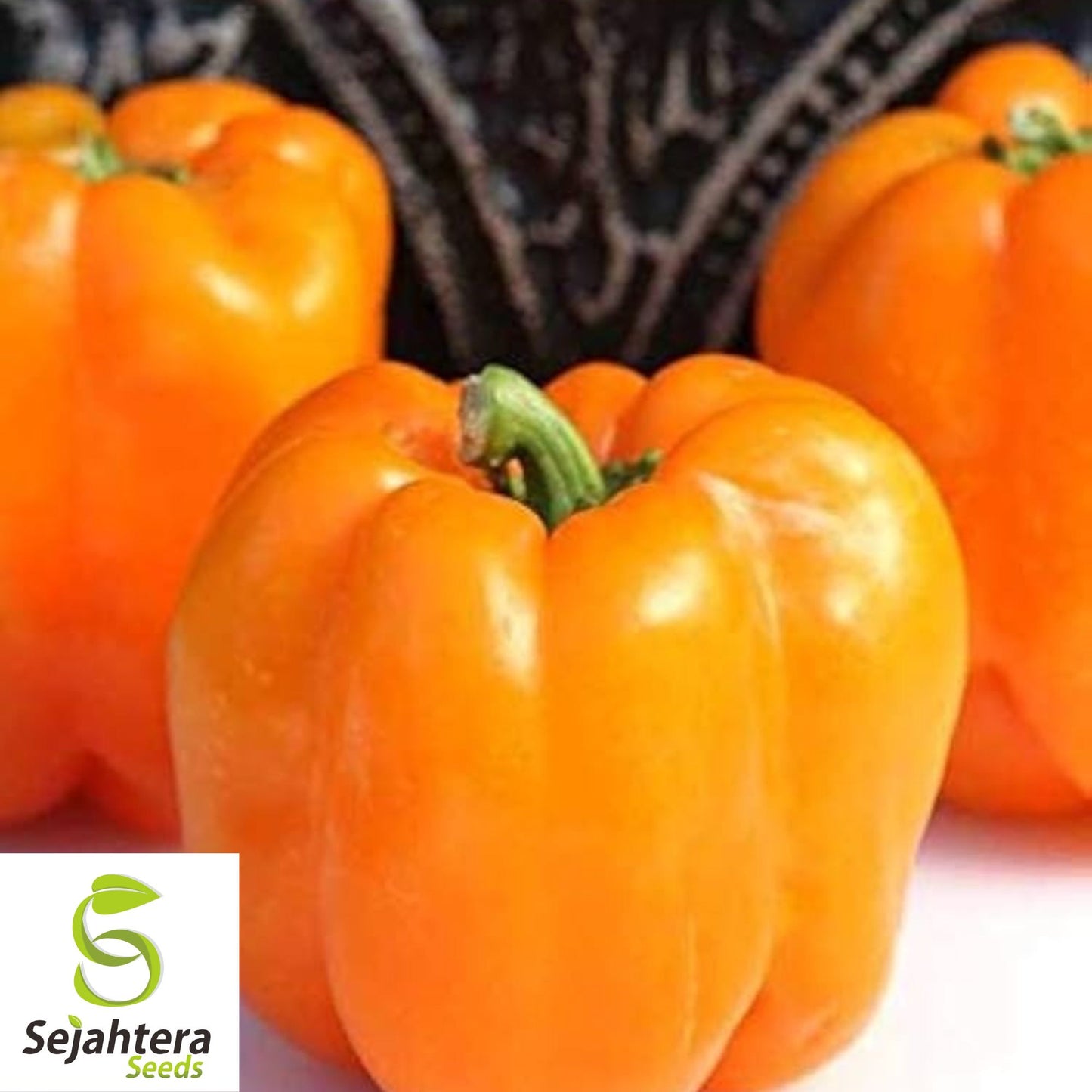 Orange King Bell Pepper Seeds - 120+ Organic Heirloom - Sweet & Non-GMO