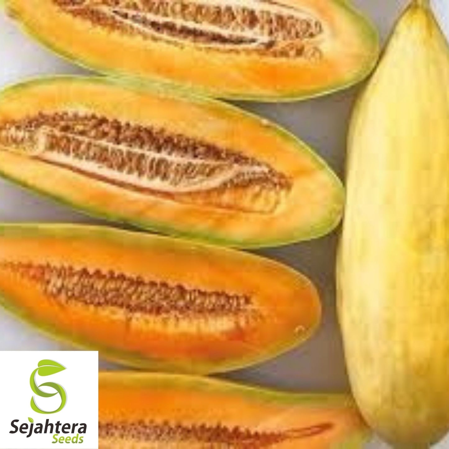 Banana Melon Cantaloupe Seeds 50+ | Heirloom Muskmelon Fruit NON-GMO USA