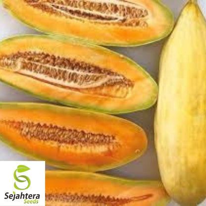 Banana Melon Cantaloupe Seeds 50+ | Heirloom Muskmelon Fruit NON-GMO USA