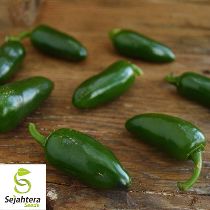 25 Mild Tam Jalapeño Pepper Seeds - Non-GMO, Flavorful & Low Heat