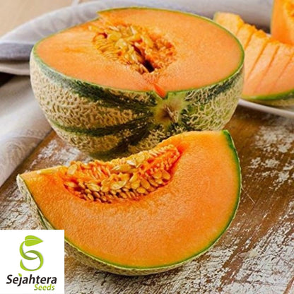Charentais Cantaloupe Seeds 25+ | French Melon Heirloom NON-GMO USA