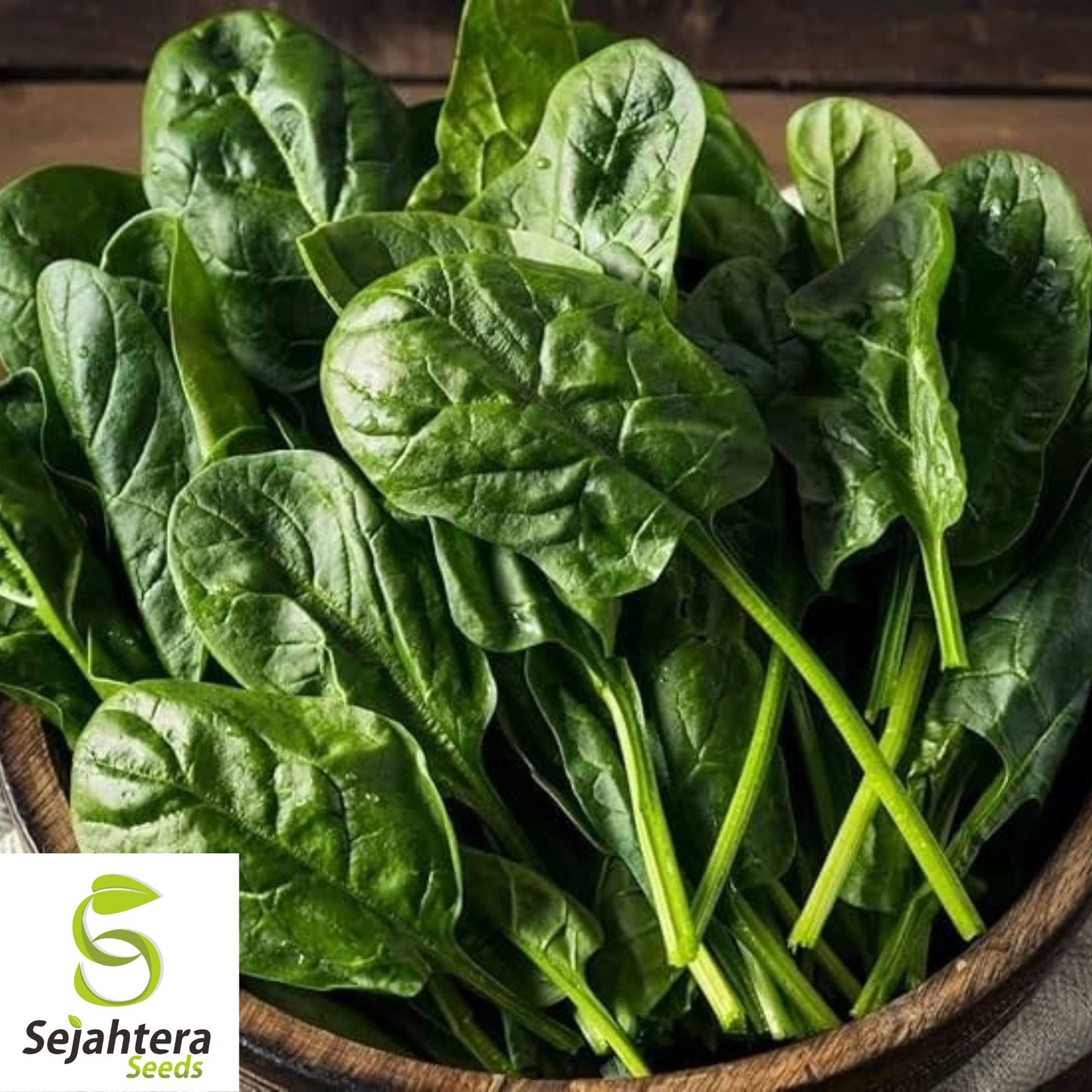 150+ Viroflay Spinach Seeds - Heirloom Spinacia Oleracea, Non-GMO Vegetable