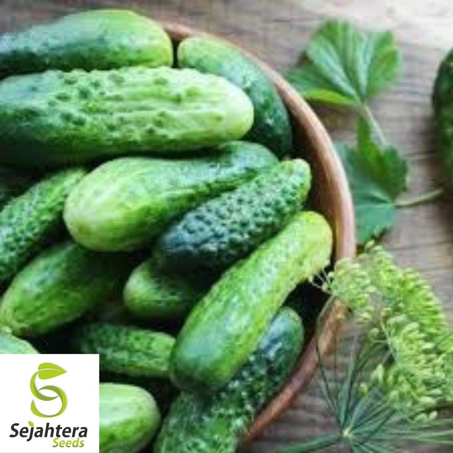 Carolina Cucumber Seeds - 100+ Heirloom, Organic, Non-GMO & High Yield