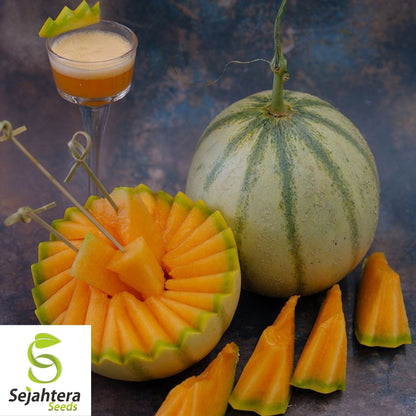 Charentais Cantaloupe Seeds 25+ | French Melon Heirloom NON-GMO USA