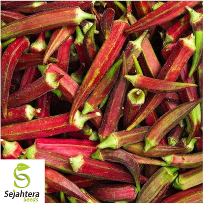 50 Red Burgundy Okra Seeds - Non-GMO, Heirloom & Colorful Garden Variety