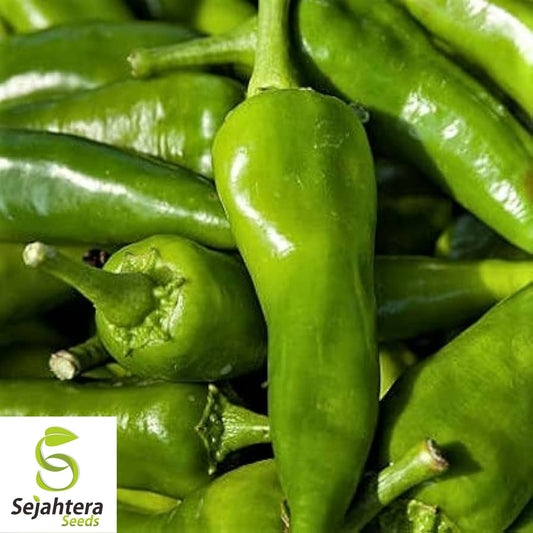 Anaheim Chile Pepper Seeds 50+ | Heirloom Vegetable NON-GMO USA