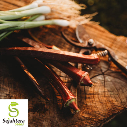 50 Red Burgundy Okra Seeds - Non-GMO, Heirloom & Colorful Garden Variety