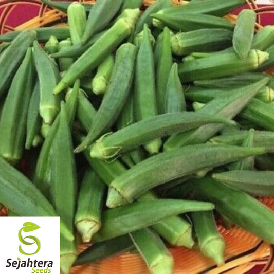 25+ Emerald Okra Seeds - Heirloom, Non-GMO, Tender & High-Yielding Variety