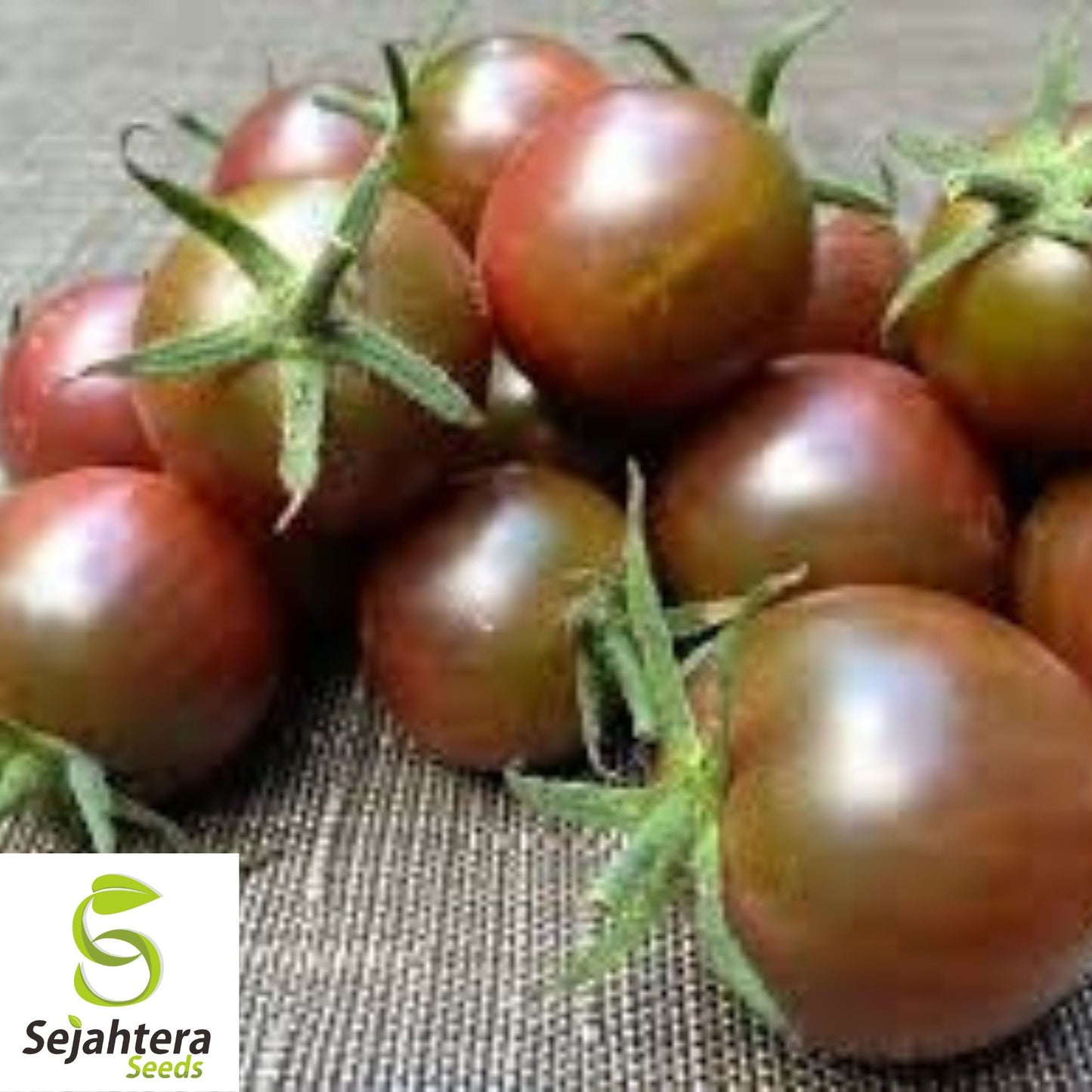 Brown Berry Tomato Seeds - 120+ Heirloom, Organic, Non-GMO & Rare