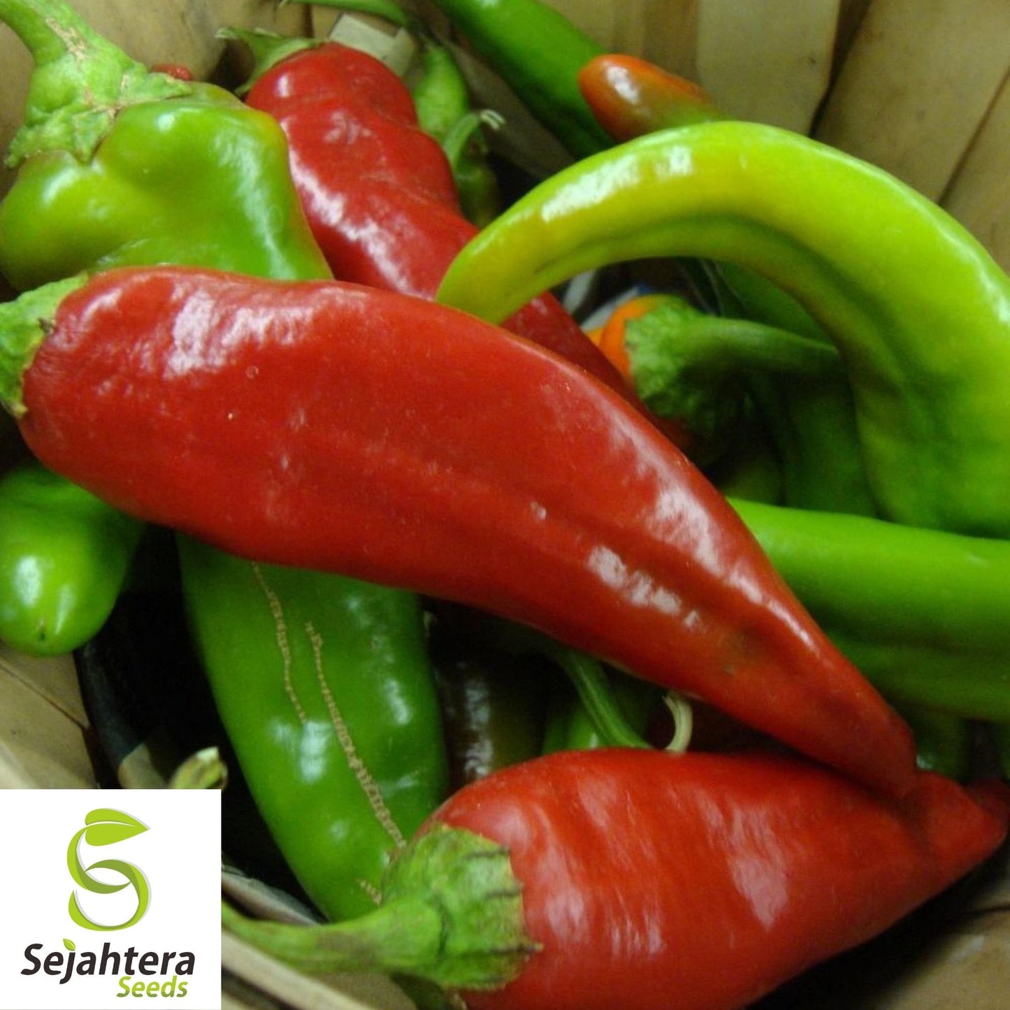 Anaheim Chile Pepper Seeds 50+ | Heirloom Vegetable NON-GMO USA