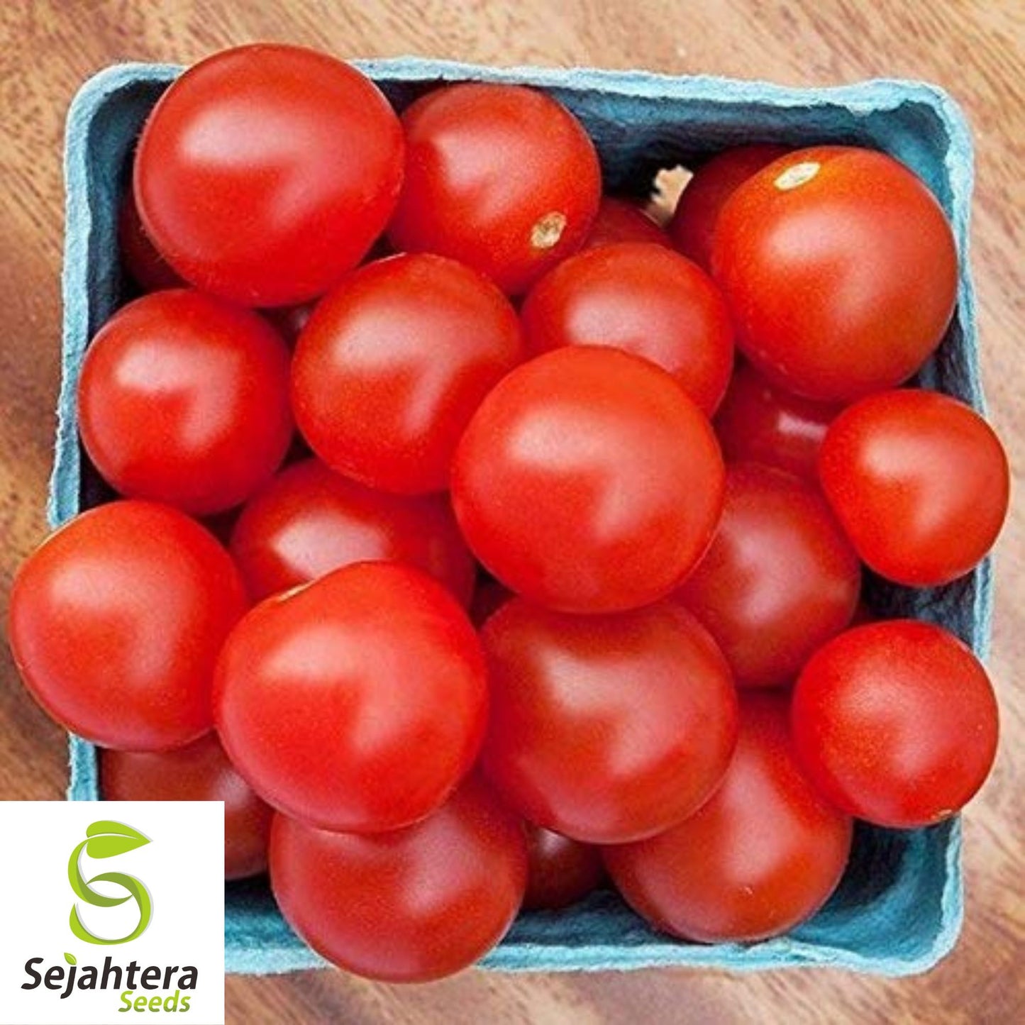 Homestead Tomato Seeds - 120+ Heirloom, Drought-Resistant, Organic & Non-GMO