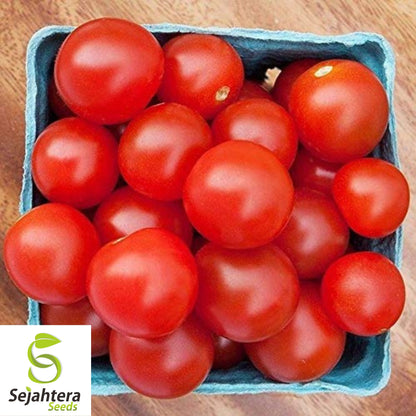Homestead Tomato Seeds - 120+ Heirloom, Drought-Resistant, Organic & Non-GMO