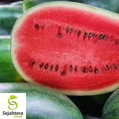 Cal Sweet Supreme Watermelon Seeds 25+ | Heirloom NON-GMO Fruit Melon USA