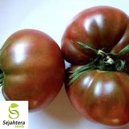Black From Tula Tomato Seeds - 30+ Heirloom, Organic, Non-GMO & Rare