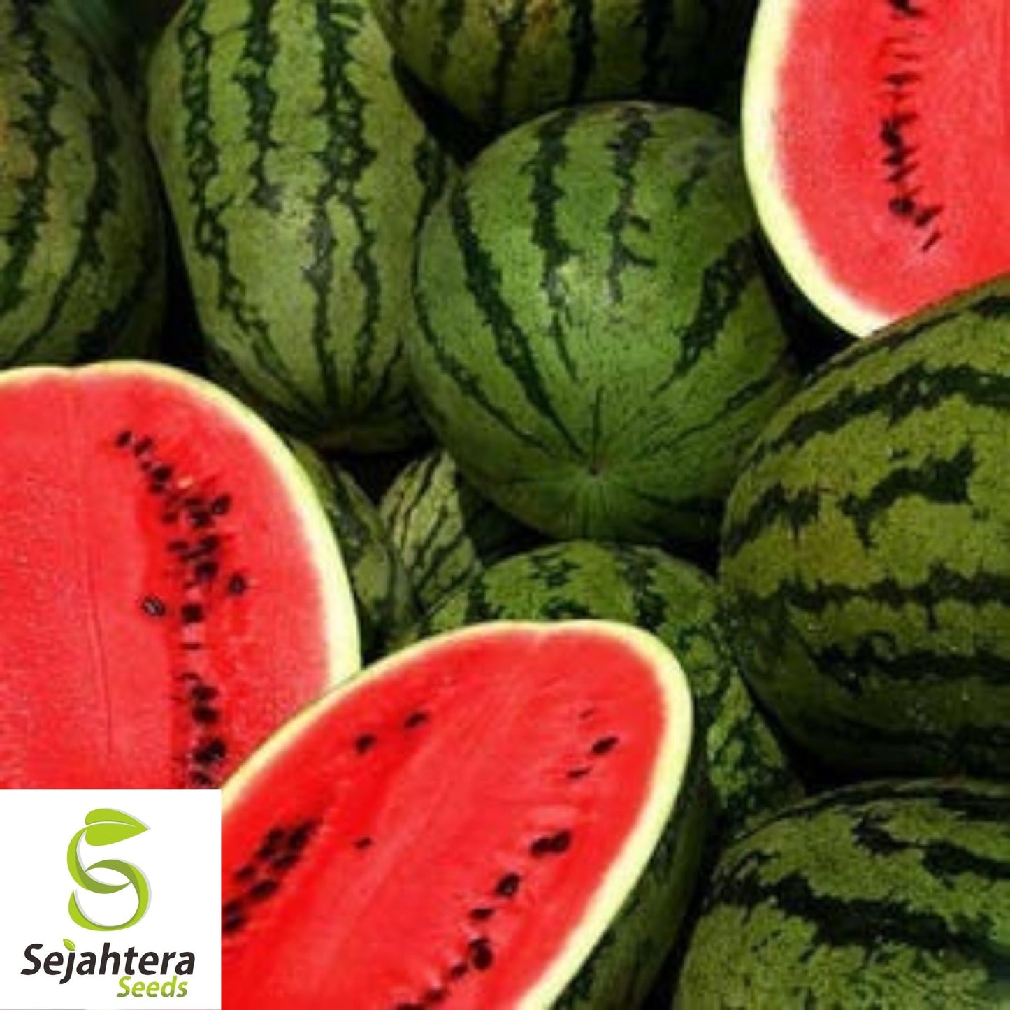 Cal Sweet Supreme Watermelon Seeds 25+ | Heirloom NON-GMO Fruit Melon USA