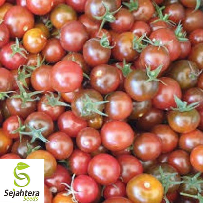 Brown Berry Tomato Seeds - 120+ Heirloom, Organic, Non-GMO & Rare