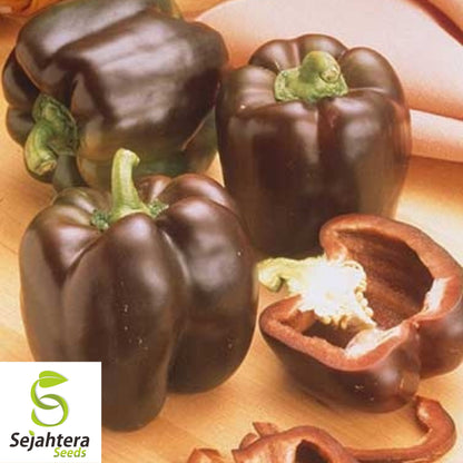 25 Chocolate Beauty Pepper Seeds - Non-GMO, Sweet & Unique Variety