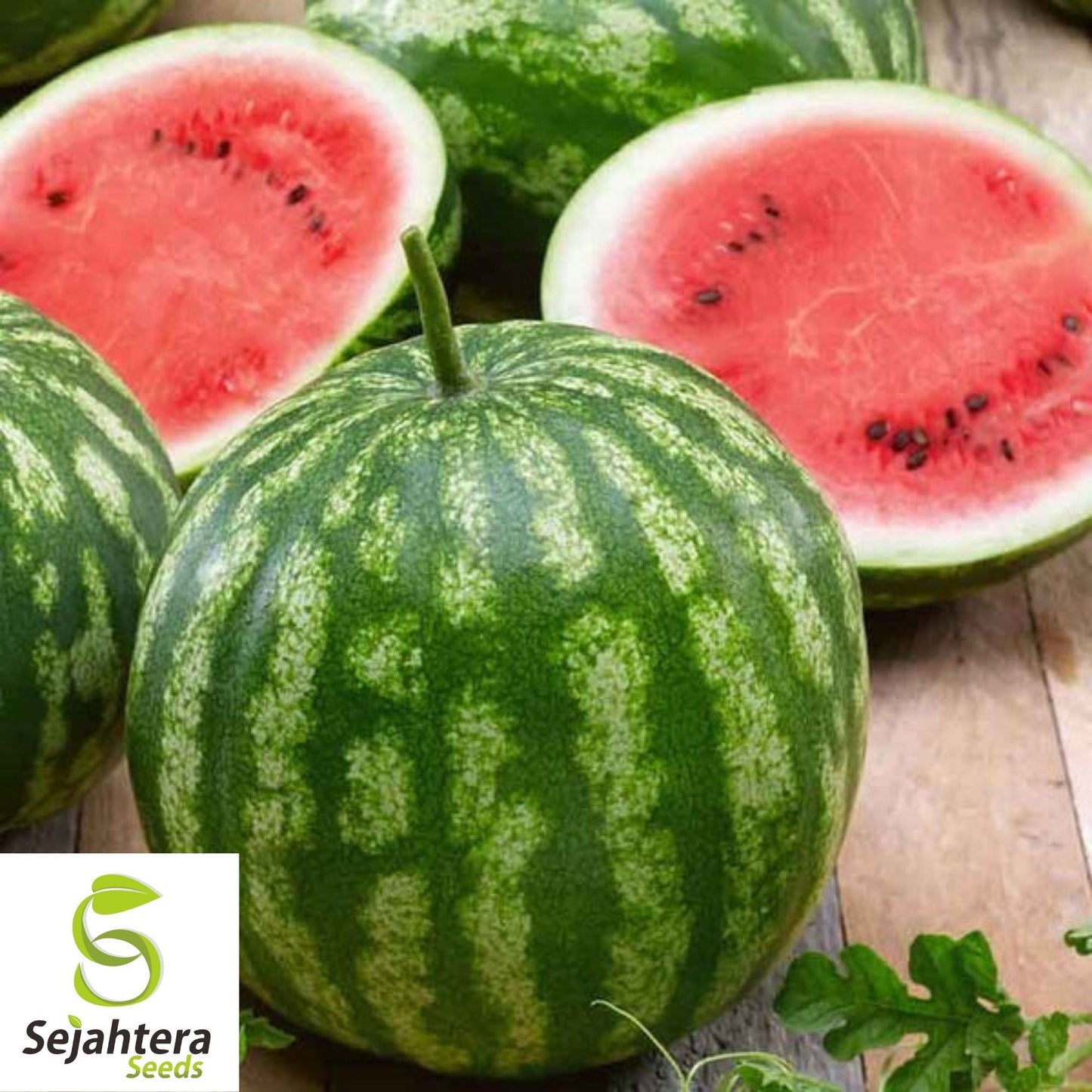 Cal Sweet Supreme Watermelon Seeds 25+ | Heirloom NON-GMO Fruit Melon USA
