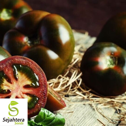 Black From Tula Tomato Seeds - 30+ Heirloom, Organic, Non-GMO & Rare