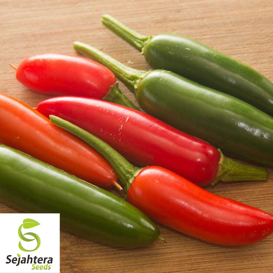 Serrano Pepper Seeds 50+ | Hot Heirloom Vegetable Garden NON-GMO USA