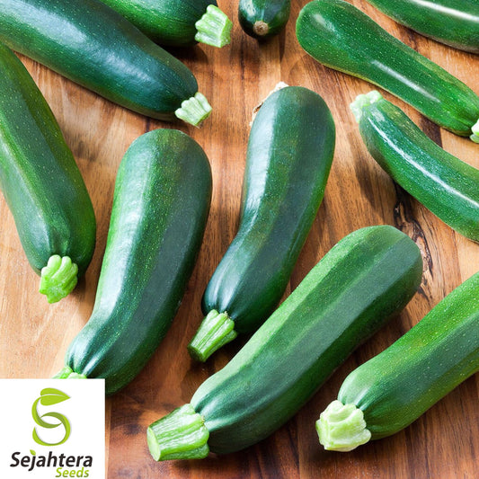 50+ Black Beauty Zucchini Seeds - Heirloom, Organic, Non-GMO, High-Yield & Fresh