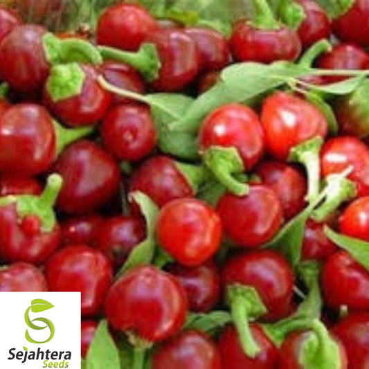 100+ Large Red Cherry Hot Pepper Seeds - Heirloom, 3,000-5,000 Scoville Heat