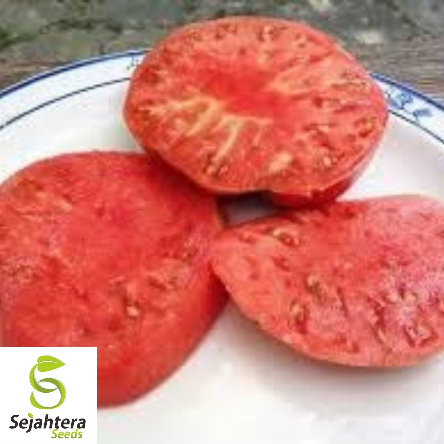 German Johnson Tomato Seeds - 30+ Heirloom, Organic, Non-GMO & Large Fruits