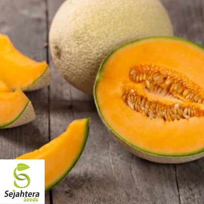 50+ Top Mark Cantaloupe Seeds - Non-GMO Cucumis Melo, Sweet Melon Variety