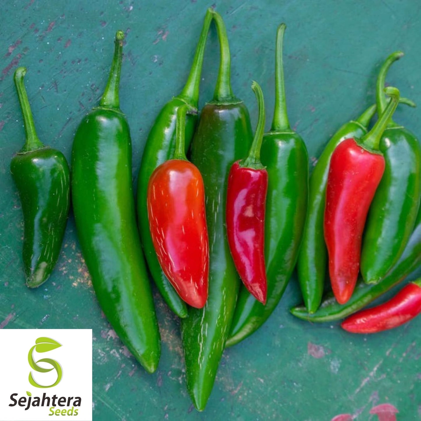 Serrano Pepper Seeds 50+ | Hot Heirloom Vegetable Garden NON-GMO USA