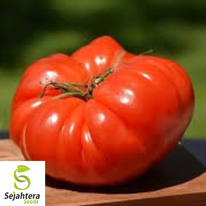 German Johnson Tomato Seeds - 30+ Heirloom, Organic, Non-GMO & Large Fruits