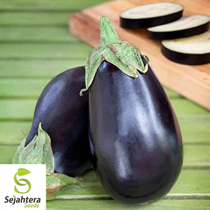 Eggplant Black Beauty Seeds 200+ | Heirloom Vegetable Garden NON-GMO USA