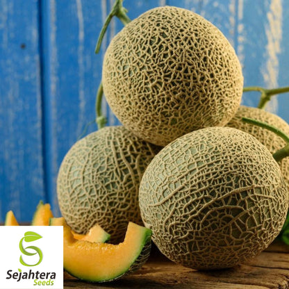 50+ Top Mark Cantaloupe Seeds - Non-GMO Cucumis Melo, Sweet Melon Variety