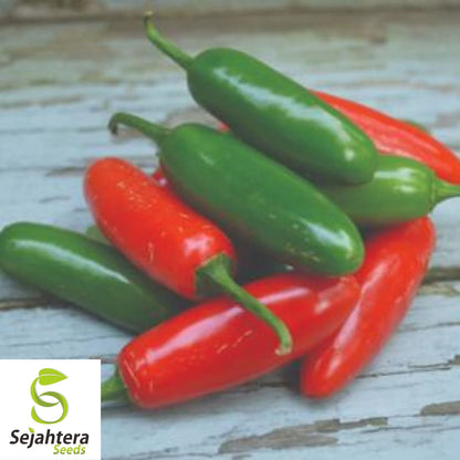 Serrano Pepper Seeds 50+ | Hot Heirloom Vegetable Garden NON-GMO USA