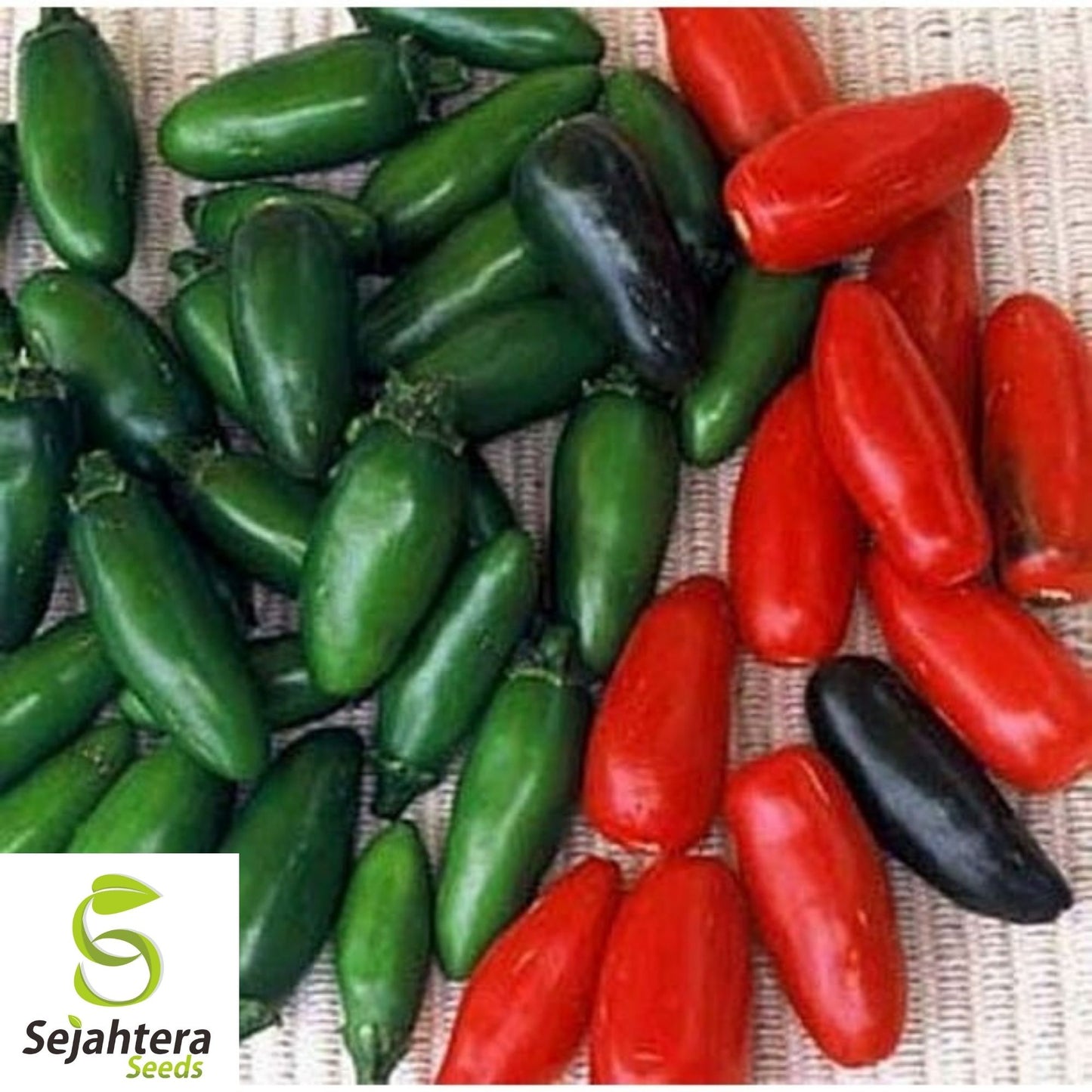 Serrano Pepper Seeds 50+ | Hot Heirloom Vegetable Garden NON-GMO USA