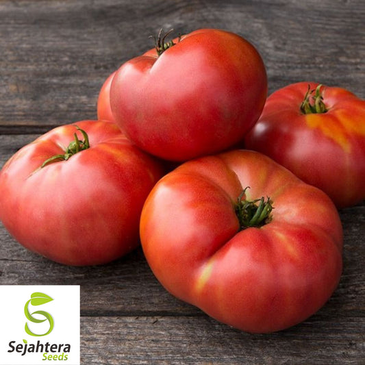 50 German Johnson Tomato Seeds - Heirloom, Non-GMO, Juicy & Flavorful Variety