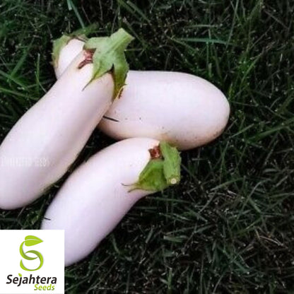 Casper White Eggplant Seeds - 100+ Heirloom, Organic, Non-GMO & Rare