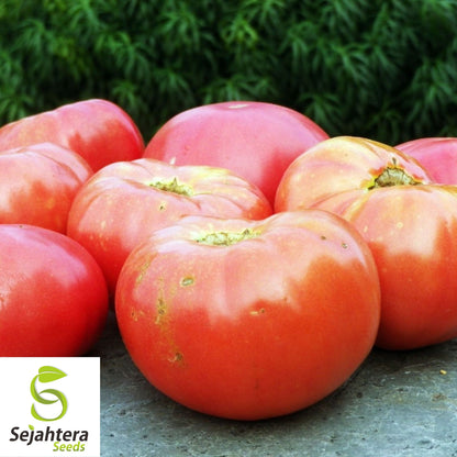 50 German Johnson Tomato Seeds - Heirloom, Non-GMO, Juicy & Flavorful Variety
