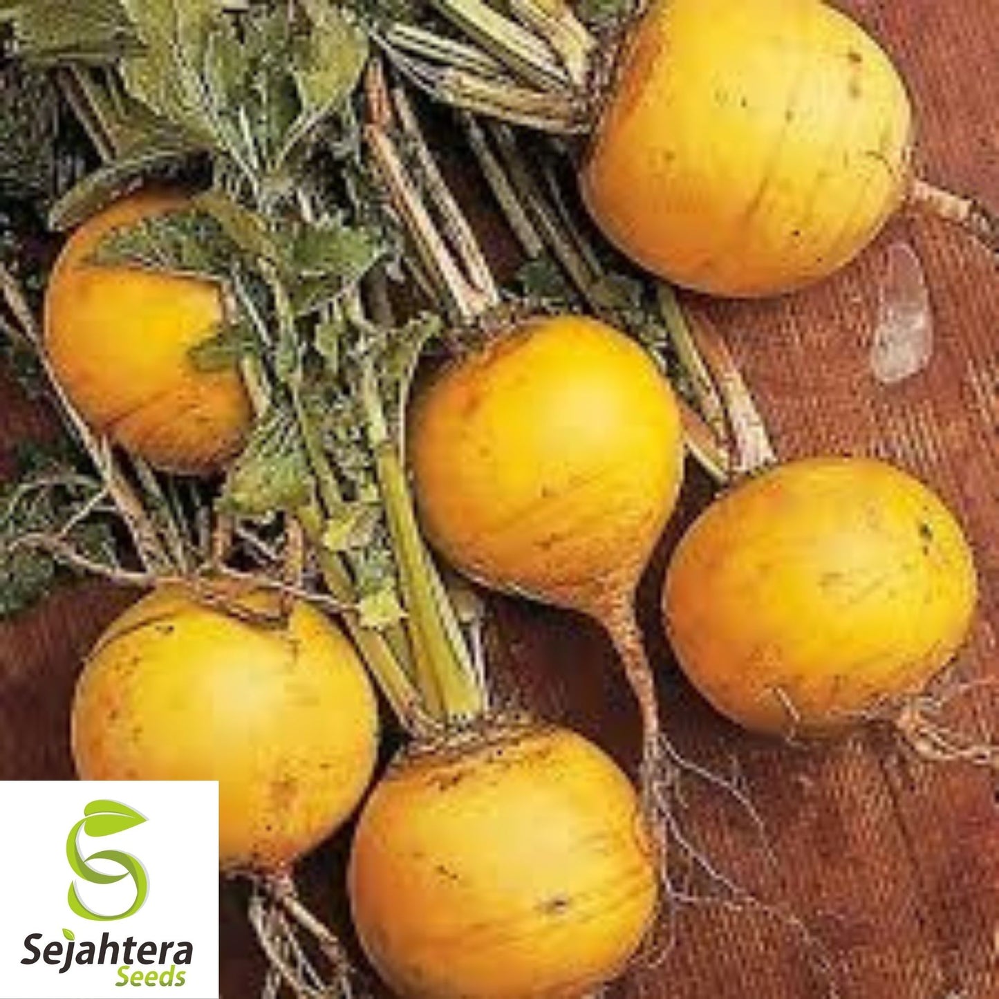 Golden Ball Turnip Seeds 1000+ | Heirloom Vegetable Garden NON-GMO USA