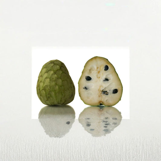 Pierce Cherimoya – Annona cherimola Live Grafted Tree | 1–2 Feet Tall | Ships in 3 Gallon or 6" Pot  Sweet Tropical Fruit | Premium Variety | Backyard Orchard Favorite