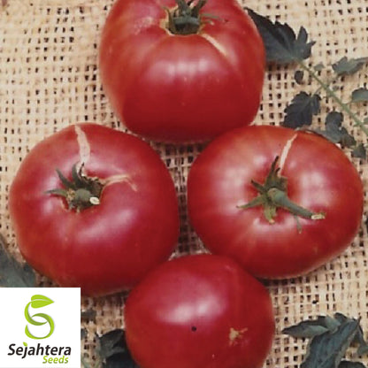 50 German Johnson Tomato Seeds - Heirloom, Non-GMO, Juicy & Flavorful Variety